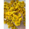 susene slamienky hlavicky straw flowers heads 100g žlté yellow2