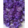 susene slamienky hlavicky straw flowers heads 50g fialové purple1