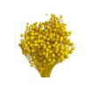 suseny-len-kytice-cca-100g-svetly-zluty