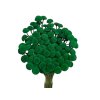 botao amarelino dried flowers zelené green1