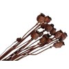 makovice prirodne sede poppy dried susene hnede brown