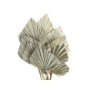 palm leaf leaves large velke palmove listy natural prirodne2