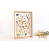 Drevený obojstranný herbáriový rámček 31×22cm