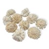 shola flower ming kvet 6cm natural white biele kremove1