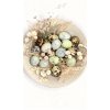 quail eggs