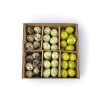 prepeličie vajíča box mint qail eggs yellow2