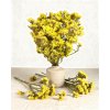 Sušená limonka - Statice Limonium 100g - žlté
