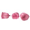 preparovana ruza stabilizovana ruzova preserved roses pink2