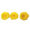 preparovana ruza stabilizovana zlta preserved roses yellow3