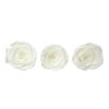 preparovana ruza stabilizovana biela preserved roses fire white2