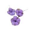 gossypium cotton pod bavlnikove kvety fialove purple2
