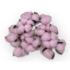 gossypium cotton pod bavlnikove kvety pink ruzove1