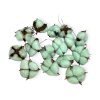 gossypium cotton pod bavlnikove kvety pastel green zelené1