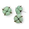 gossypium cotton pod bavlnikove kvety pastel green zelené2