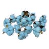 gossypium cotton pod bavlnikove kvety light blue pastel blue modre1