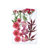 lisovane kvety artemio2