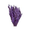 suseny ovos dried avena purple1
