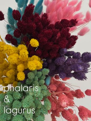 Dokonalá dvojka pre váš domov: Phalaris & Lagurus 🌾✨ Ak hľadáte niečo, čo dodá interiéru jemnosť a štýl, tieto sušené...