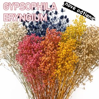 Nová vlna kvetinového osvieženia je tu! 🌸 Do nášho portfólia na flowerio.sk sme pridali 5 úplne nových odtieňov obľúbenej...