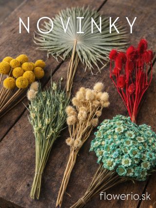 ✨ NOVINKY NA SKLADE! 🌿 Vaše obľúbené aranžmány práve dostali novú energiu. Doplnili sme ponuku o kúsky, ktoré kombinujú...