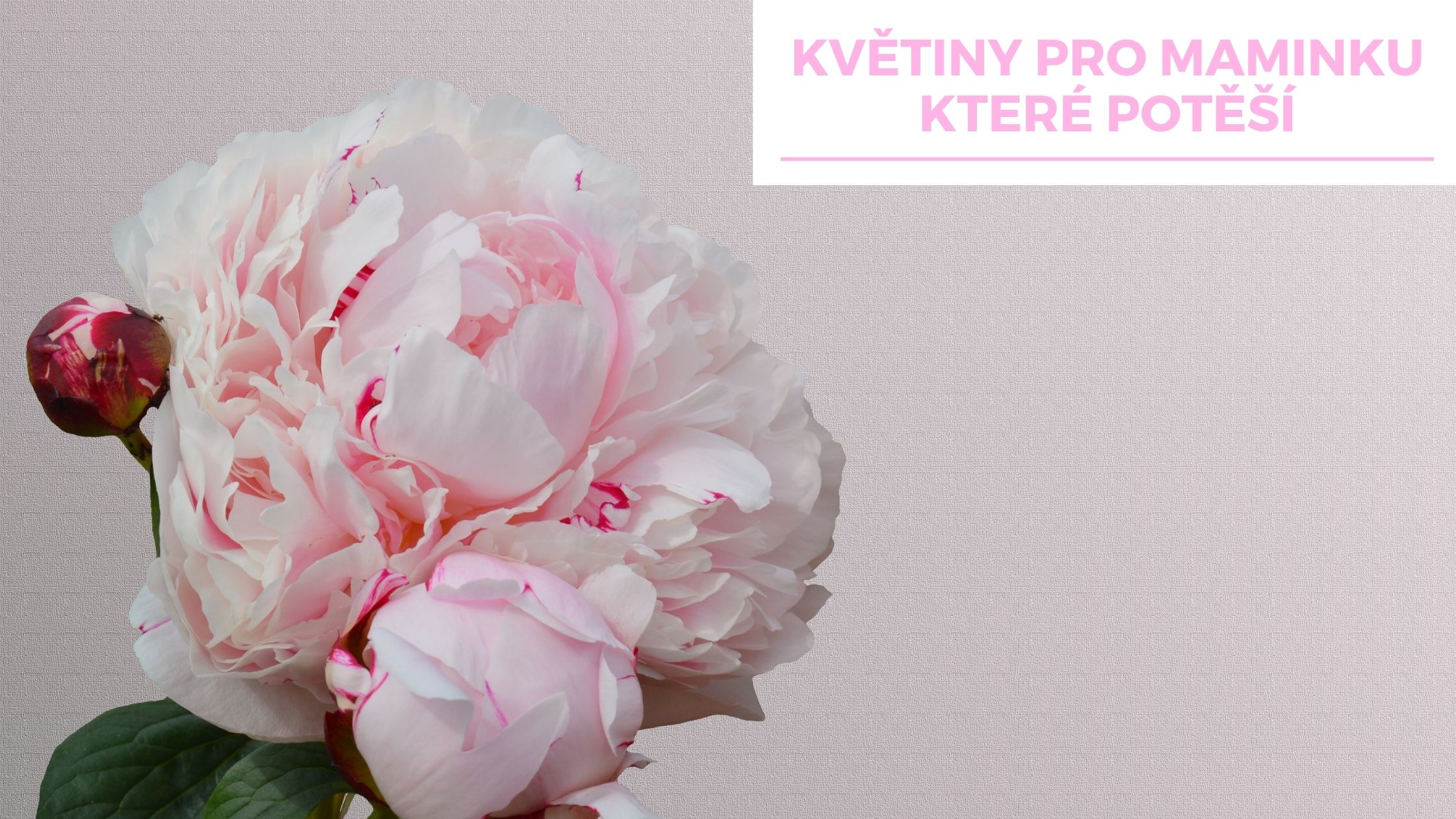 Květiny pro maminku, které potěší