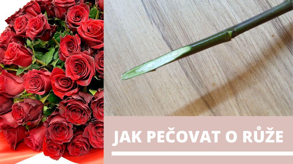 Jak správně pečovat o řezané růže