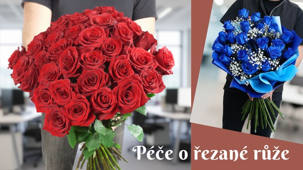 Svět růží | Kdy darovat růže a jak o ně správně pečovat