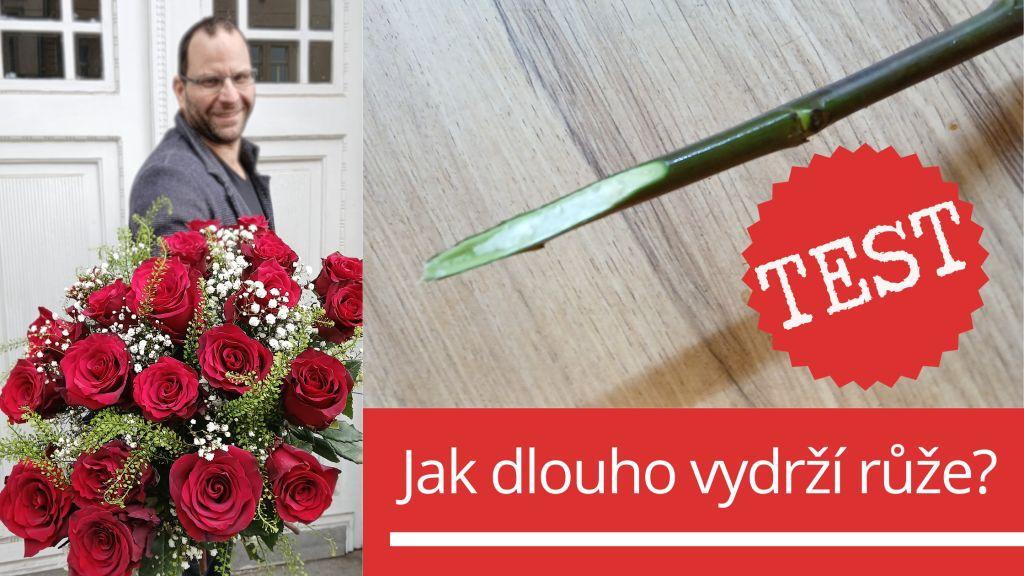 Test trvanlivosti ekvádorských růží