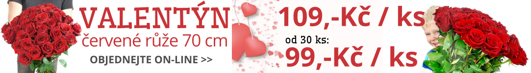 Levné červené růže květinářství Praha