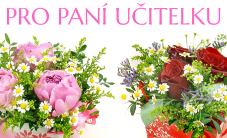 Pro paní učitelku