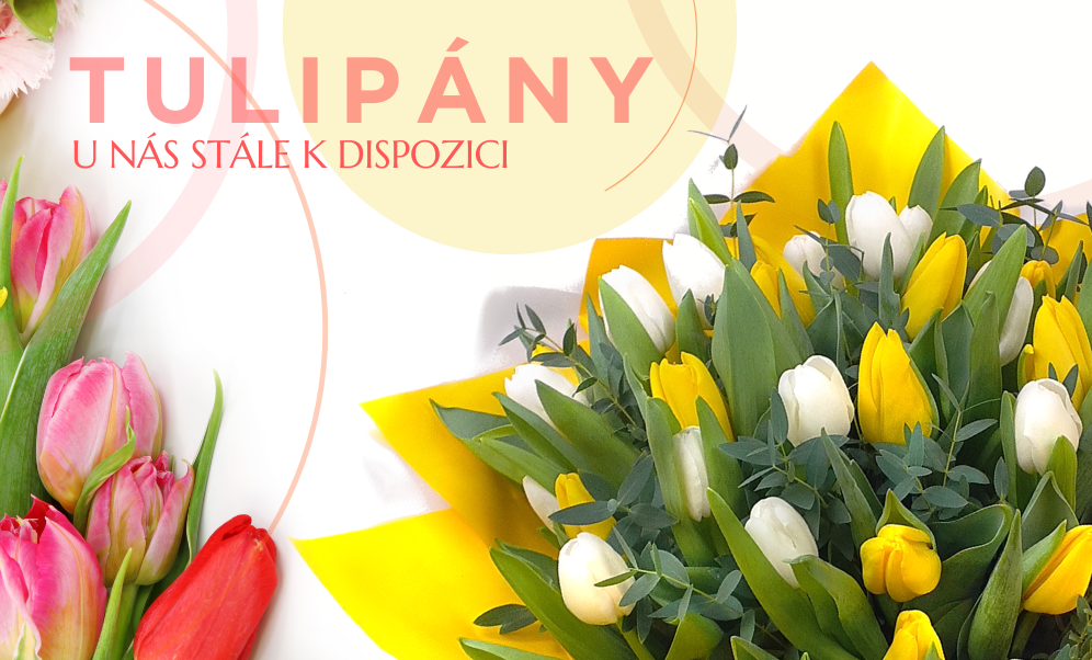 Tulipány květinářství Praha