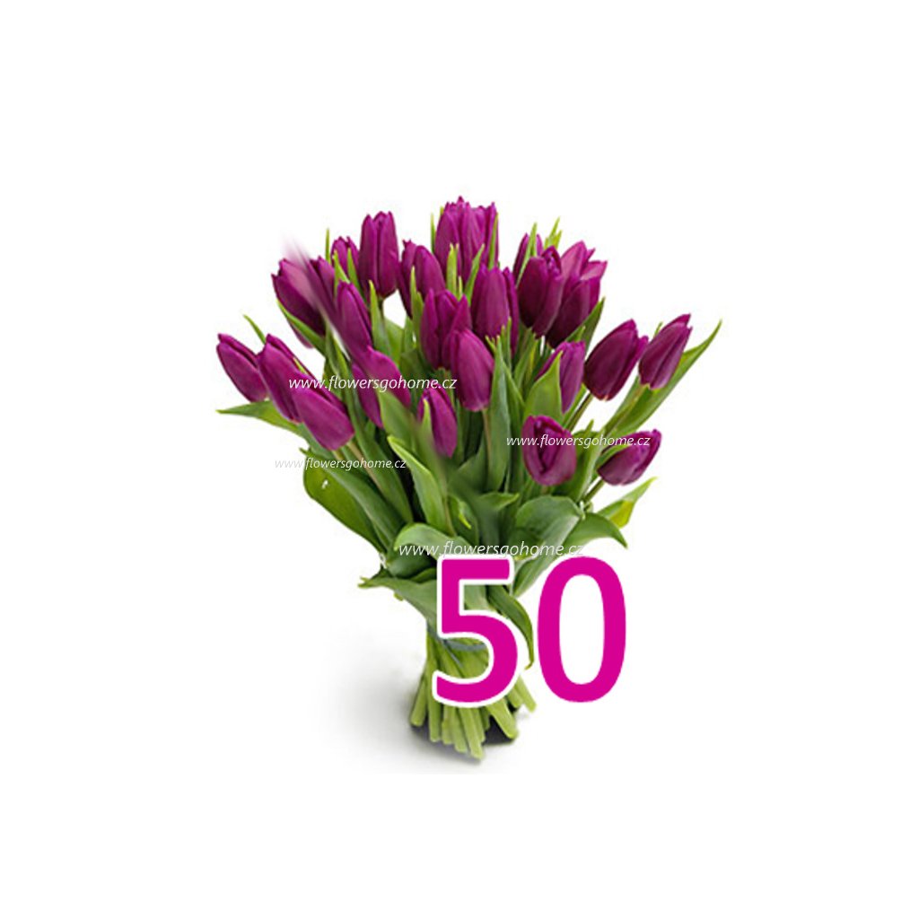 50 tulipánů