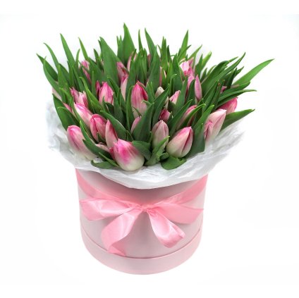 Tulipány