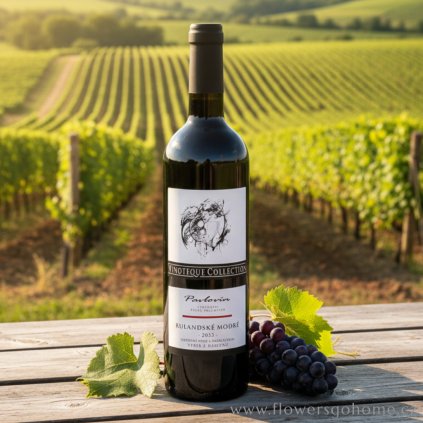 Rulandské modré Pavlovín 2023