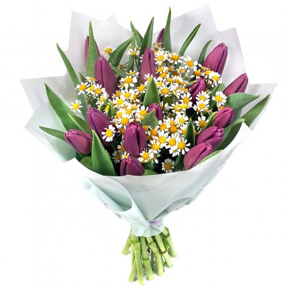 Fialové tulipány s heřmánkovcem