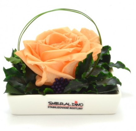 Dekorace stabilizovaná růže Barva: Peach