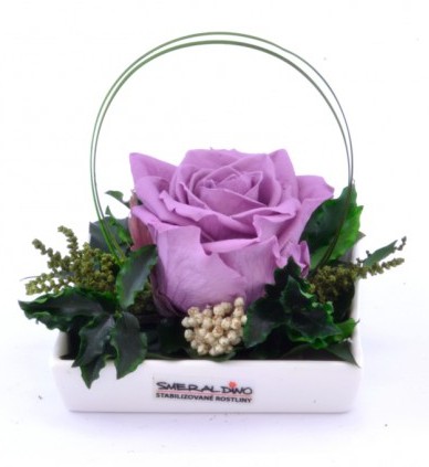 Dekorace stabilizovaná růže Barva: Lilac