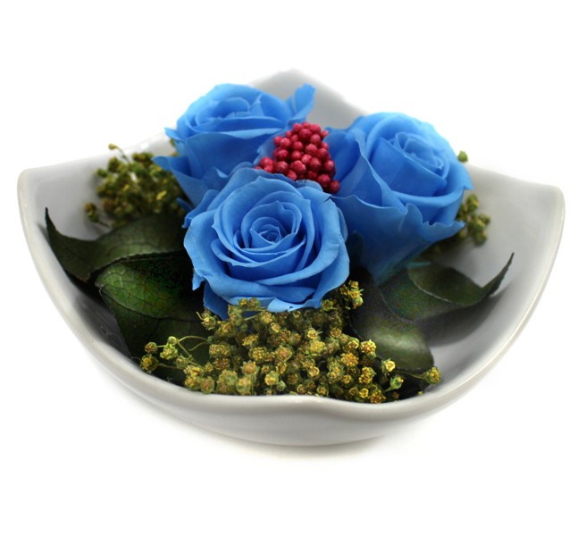 Stabilizovaná růže Barva: Sky Blue (světle modrá)
