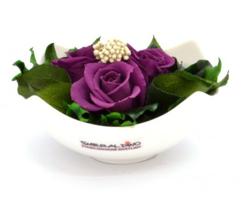 Stabilizovaná růže Barva: Purple