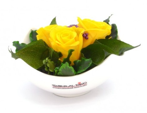 Stabilizovaná růže Barva: Yellow