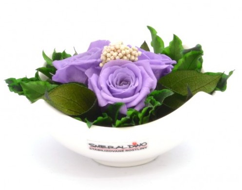 Stabilizovaná růže Barva: Lilac