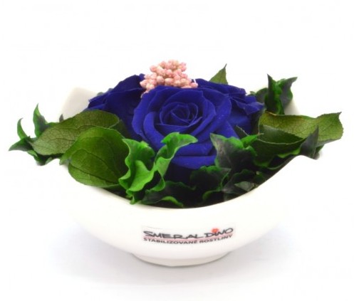 Stabilizovaná růže Barva: Royale blue