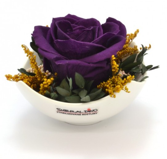 Stabilizovaná růže Barva: Purple