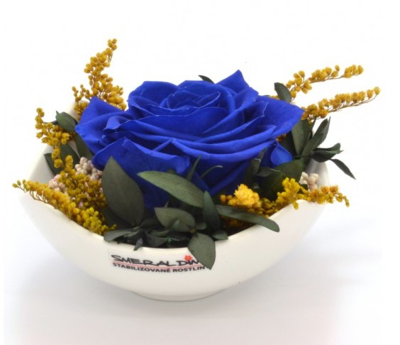 Stabilizovaná růže Barva: Royale blue
