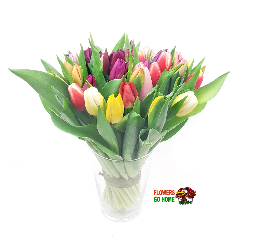 Tulipánů Velikost: 21 ks