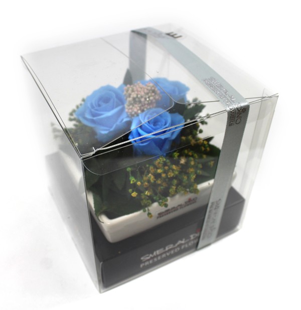 Stabilizovaná růže Zina Barva: Sky Blue (světle modrá)