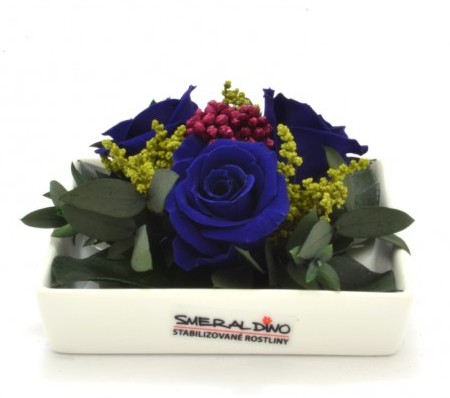Stabilizovaná růže Zina Barva: Royale blue