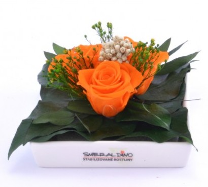 Stabilizovaná růže Zina Barva: Orange