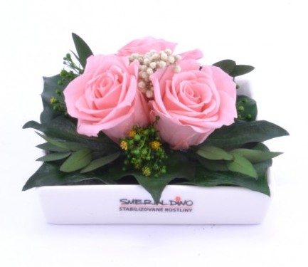 Stabilizovaná růže Zina Barva: Light Pink