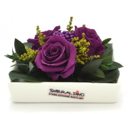 Stabilizovaná růže Zina Barva: Purple